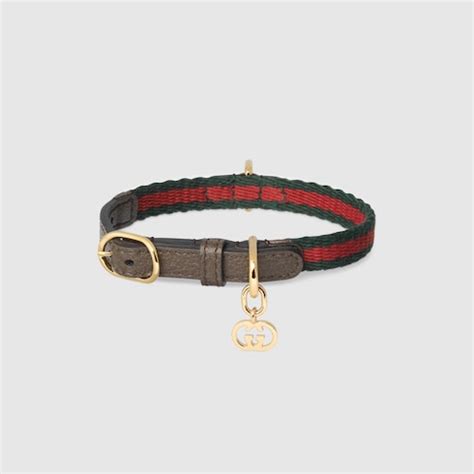 gucci cat collars|Gucci dog collar backpack.